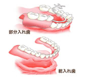 画像の説明